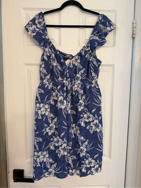 American Eagle Outfitters Blue and White Floral Sundress